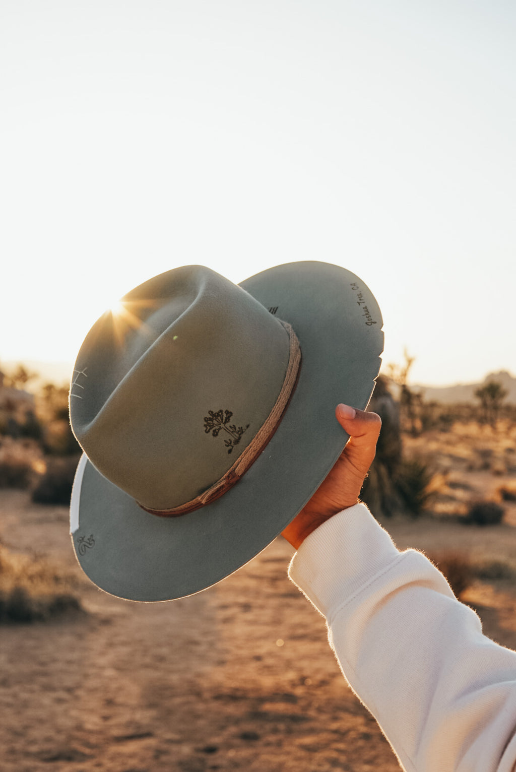 Joshua Tree