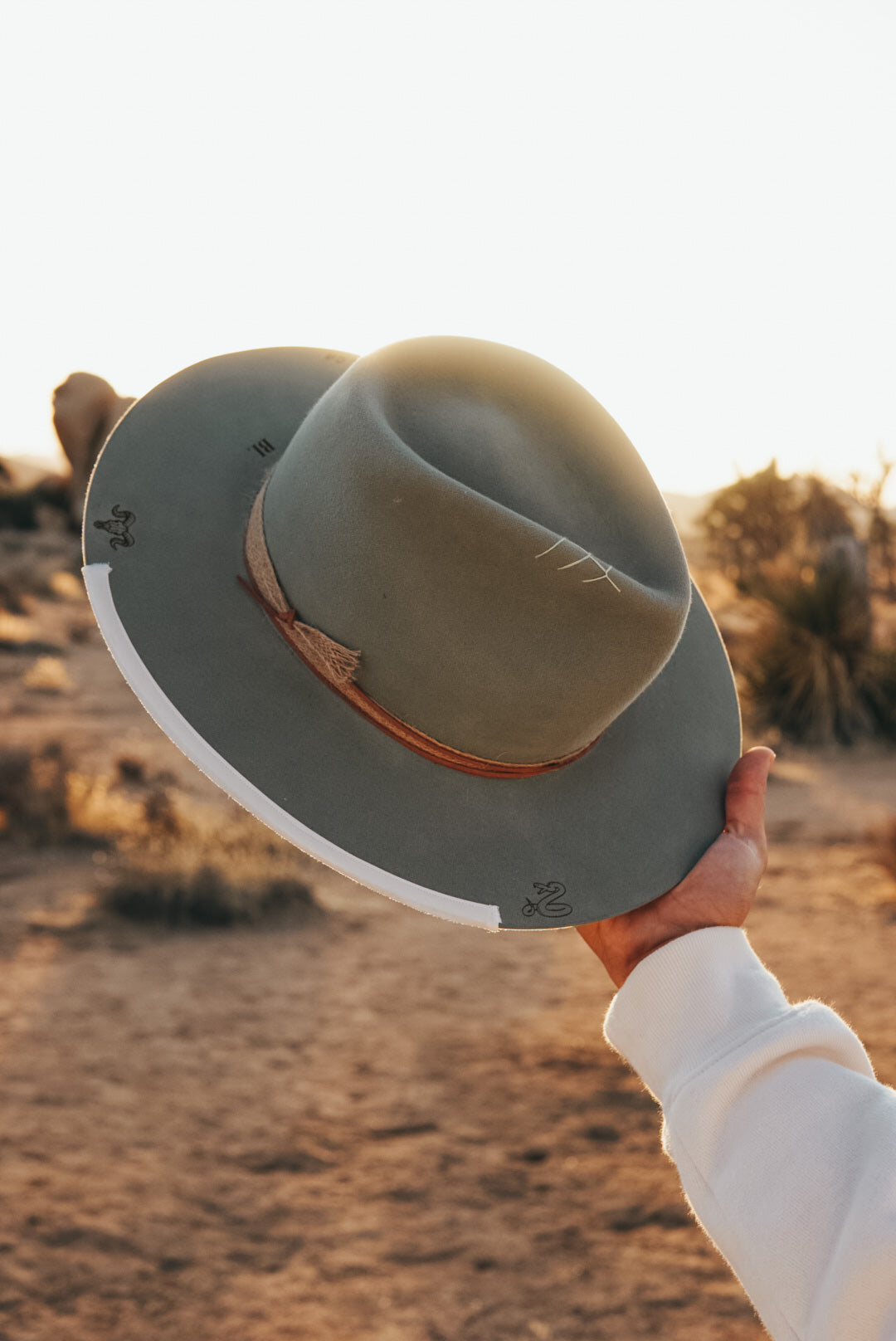 Joshua Tree